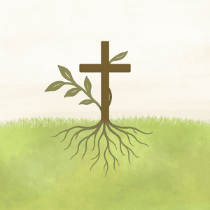 rootedbygrace