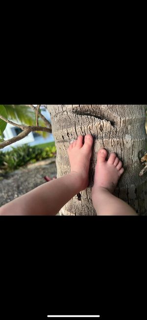 babybiohack