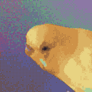 5avian