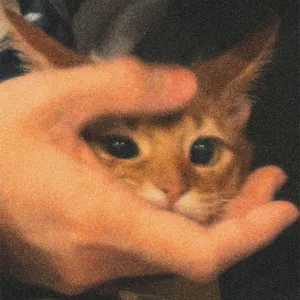 BuyMeACoffee profile picture for @skeler