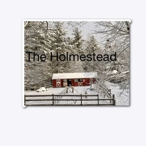theholmesstead