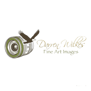 darrenwilkesfoto