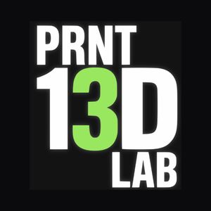 prnt13dlab