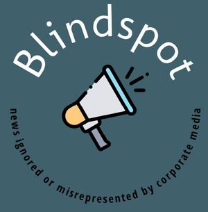 blindspot.world