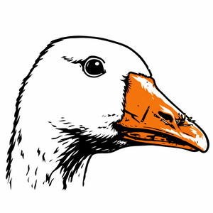thehonkinggoose