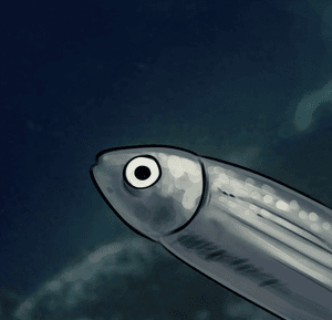 agurami