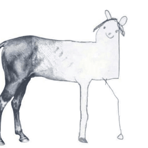 horseyofcoursey