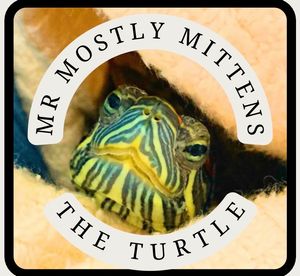 mrmostlymittensturtle