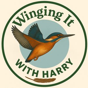 wingingitwithharry