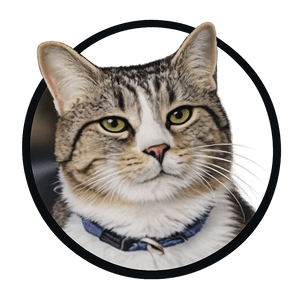 myipcat