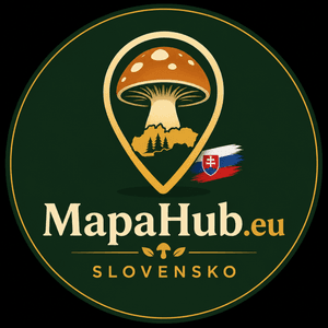 mapahub