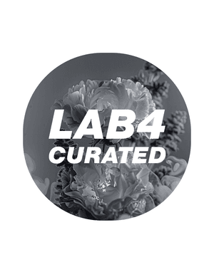lab4ev