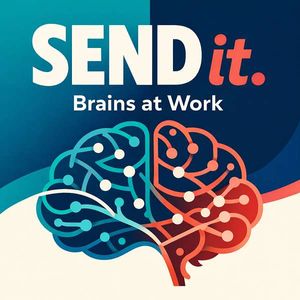 sendit.brainsatwork
