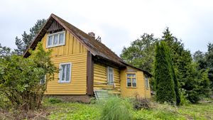 shedstories