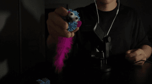 atasmr