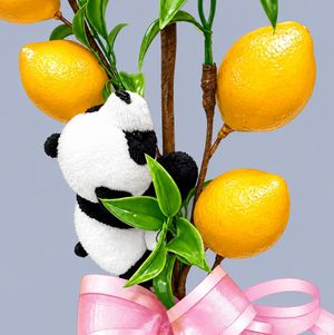 seewaderu