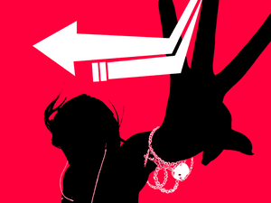 paradisecreator