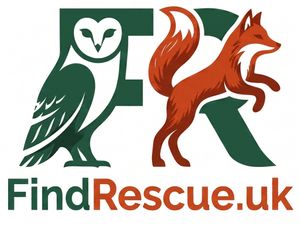 findrescue