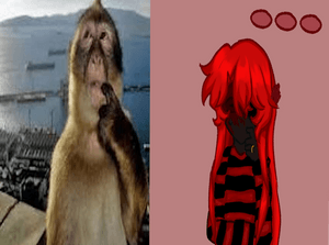 ihatekaim