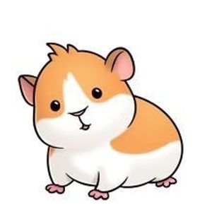 xguineapig