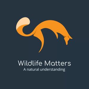 wildlifemattersorg