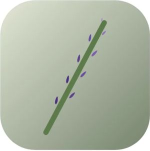 mydigitallavender