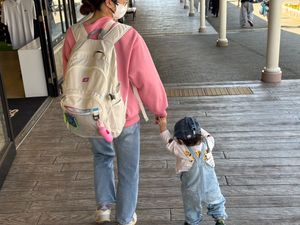 misakiinruraljapan