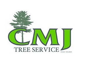 cmjtreeservice