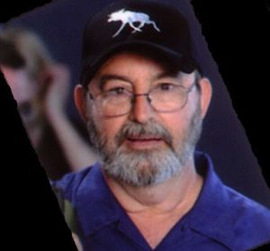 nivo78