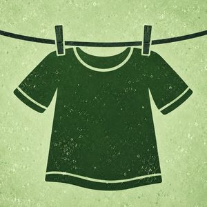 washinglineindex
