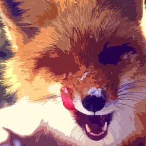 fyxe