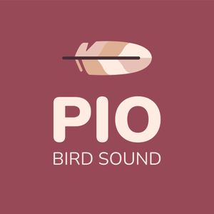 piobirdsoundidentifier