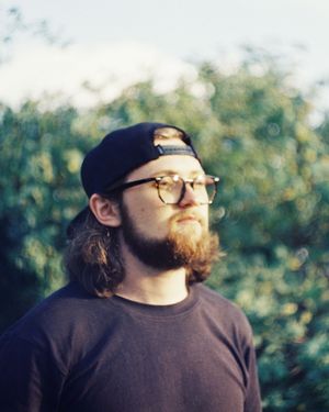 tsofindavid