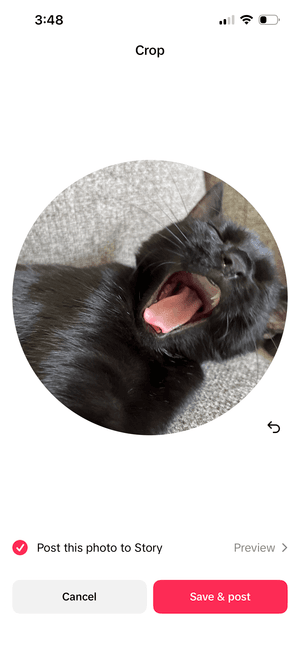 itspeachthekitten