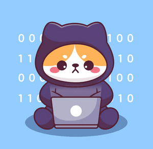 rajnishcoder