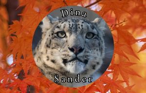 dinasander