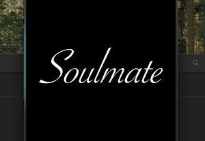 soulmateband