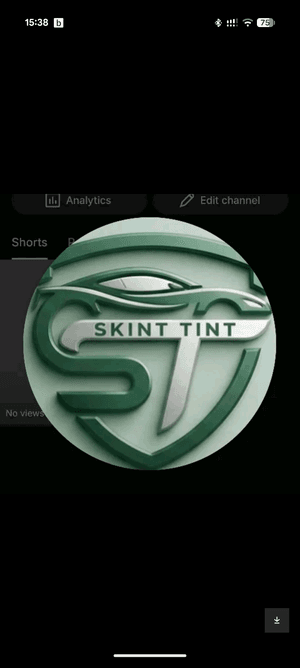 skinttint