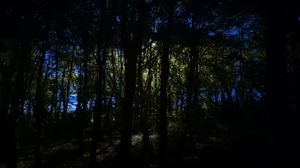 polarian