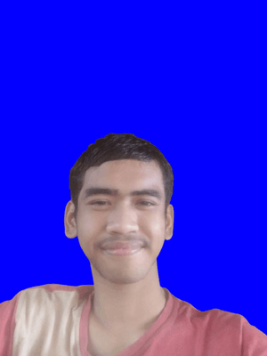 arlingkin