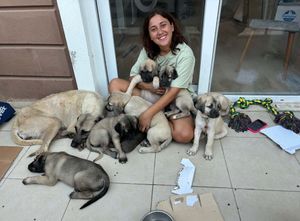 roserescues