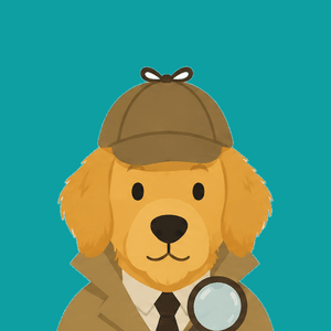 sudokudetective
