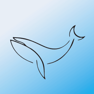 visitwhale