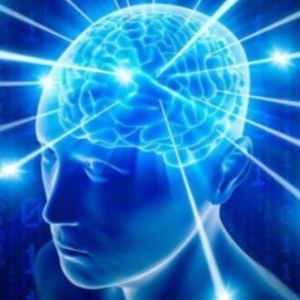 qbrainxpress