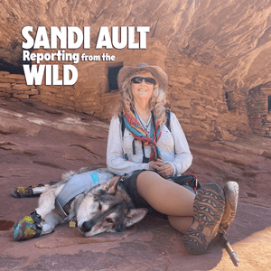 sandiault