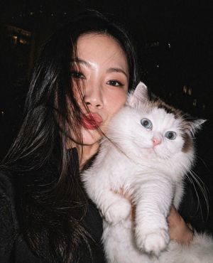 korean_seoulmate