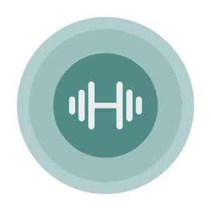 gmvoice