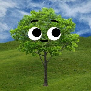 treeincrisis