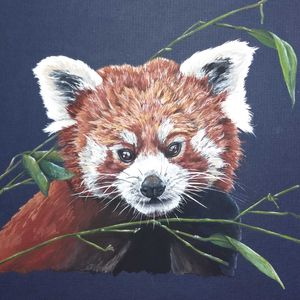 banasiakart