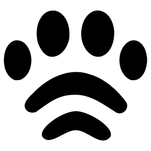 baudar